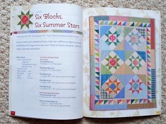 A Baker’s Dozen 13 Kitchen Quilts from American Klop by Kansas City Star