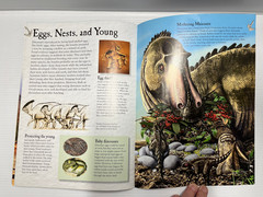 3 Dinosaurs Curriculum 3 Kids Student Information Home school Classroom Lot of 6