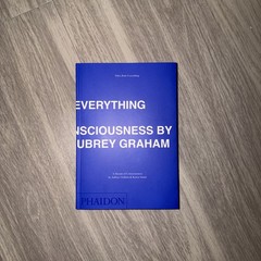 DRAKE TITLES RUIN EVERYTHING: A STREAM OF CONSCIOUSNESS *IN HAND MINT U.S. Sellr