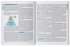 The Holistic Guide to Wellness (paperback with color pictures)