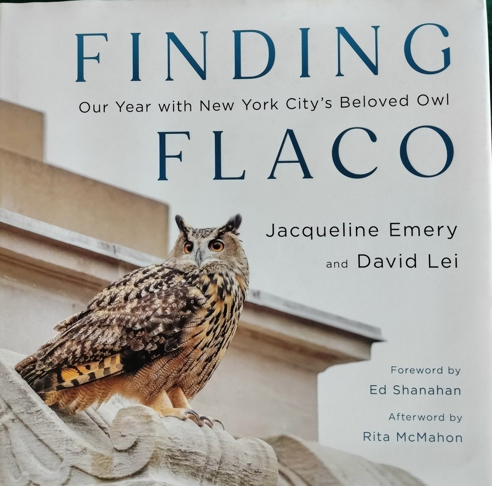 Finding Flaco – Our Year with New York City’s Beloved Owl by Jacqueline Emery