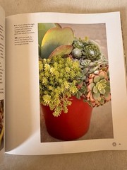 Succulents Simplified : Growing, Designing, and Crafting with 100 Easy-Care…