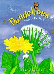 Dandelions: Stars in the Grass (Carolrhoda Picture Books) By Pos