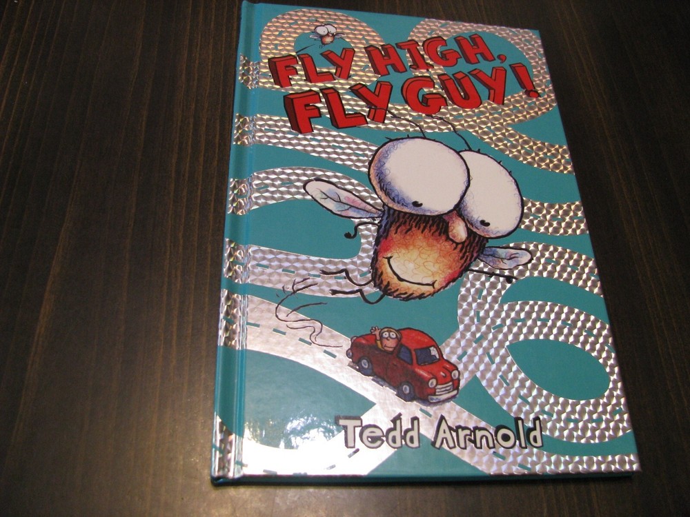 Fly Guy Ser.: Fly High, Fly Guy! (Fly Guy #5) by Tedd Arnold (2008, Hardcover)