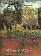 Native Texas Plants: Landscaping Region by Region