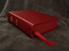 Lsb Legacy Standard Bible Portable Paragraph Reference Red Leather