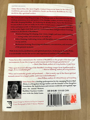 Awakening the Buddha Within by Lama Surya Das – Broadway Books PB 1st 1998 GOOD