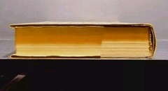 Star Danielle Steel Hardcover Delacorte Press 1989 Fiction Novel