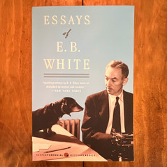E. B. White Essays of E. B. White Trade Paperback HarperPerennial 1997 Reprint