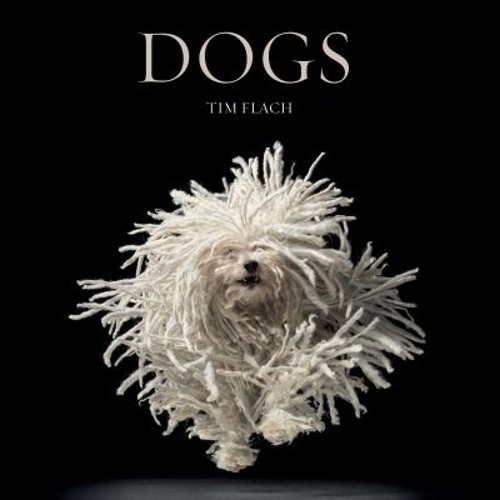 Dogs Hardcover Tim Flach