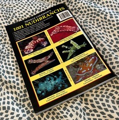 1001 Nudibranchs Identification – Biodiversity – Zoology signed stapled pamphlet