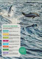 Animals on the Move (Animal Planet Animal Bites) by DePrisco, Dorothea,Animal Pl