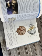 Hole’s Human Anatomy & Physiology Sixteenth Ed Hardcover Welsh, Prentice-Craver