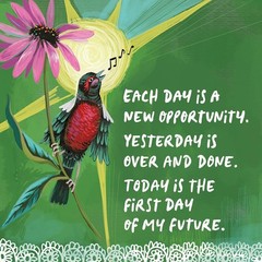 Louise Hay’S Affirmations For Forgiveness Inspirational Tarot Cards Deck