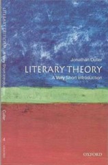 Literary Theory: A Very Short Introduction – Paperback – GOOD