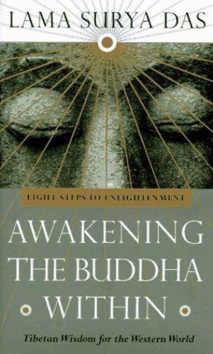 Lama Surya Das~AWAKENING THE BUDDHA WITHIN~SIGNED 1ST/DJ~NICE COPY