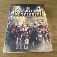 Wrestling Figure Encyclopedia Modern Edition – 2010 to present – Fig Heel 2024