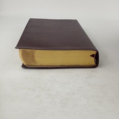 KJV Life in the Spirit Study Bible, Indexed – Leather Bound By Zondervan – GOOD