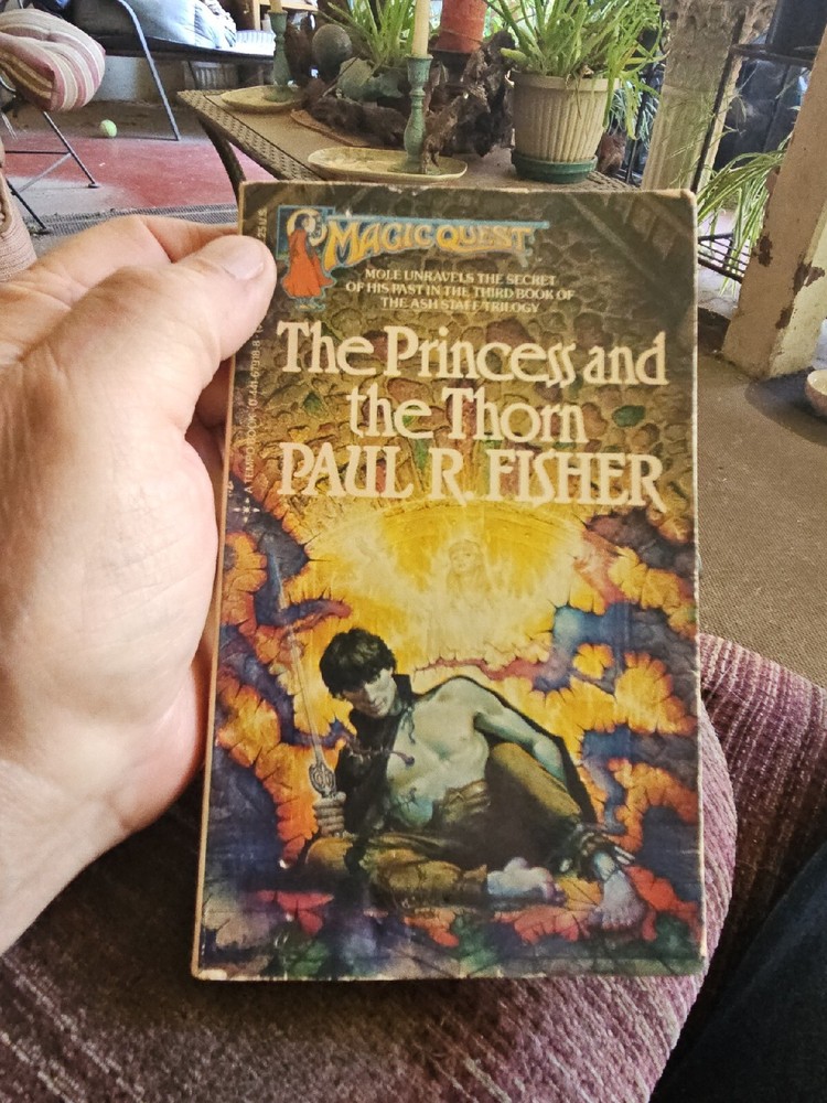 Paul Fisher Magic Quest 10 The Princess And The Thorn 1984 Great Cover Art