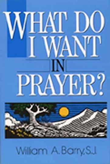 What Do I Want in Prayer? – Paperback, by Barry SJ William A. – Acceptable n