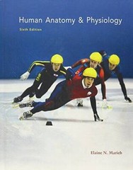 Human Anatomy & Physiology – Hardcover By Marieb, Elaine Nicpon – GOOD