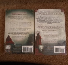One Dark Window Two Twisted Crowns by Rachel Gillig