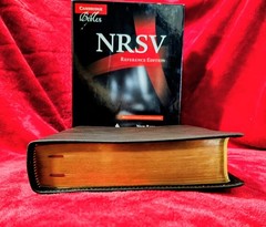 NRSV Bible Brown Cowhide Leather!Printed & Bound By LEGO!RARE!READ DESCRIPTION!