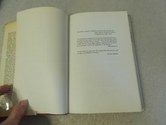 Big Bad Wolves Masculinity in the American Film by Joan Mellen (HC/DJ 1977)