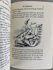 E.B. White: Charlotte’s Web, 1952. HC/DJ. Illustrated Children’s Classic!