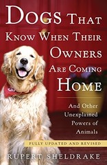 Dogs That Know When Their Owners Are Coming Home: Fully Updated