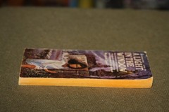 A Light in the Window by Margaret Lynn 1969 PB Pyramid Gothic