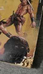 Conan & the Emerald Lotus by John C. Hocking 1st Print 1995 Damaged But Readable