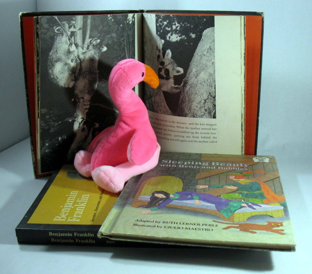 Lot 4 Decorative Decor Black Grey Mix Childrens HC Books Pink Flamingo Staging