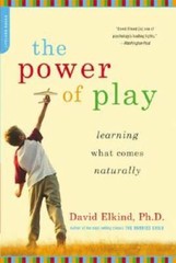 The Power of Play: Learning What Comes Naturally – Paperback – VERY GOOD