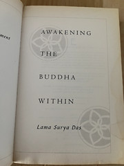 Awakening the Buddha Within by Lama Surya Das – Broadway Books PB 1st 1998 GOOD