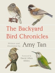 The Backyard Bird Chronicles Hardcover – 2024 by Amy Tan