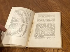 Antique RIP-VAN WINKLE BY WASHINGTON IRVIN HARD COVER BORSE & HOPKINS 47 Pages