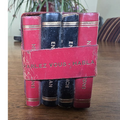 Mini Hardcover Dictionary Set 4 Vols English-French/German/Italian/Spanish