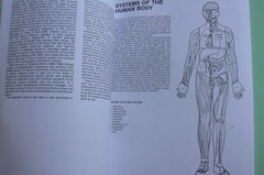 Dover HUMAN ANATOMY Coloring Book,Ziemian/Matt, ALL CLEAN! 44-pages