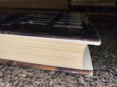 Vampire Chronicles Ser.: Memnoch the Devil : The Vampire Chronicles by Anne…