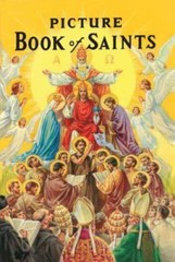 Picture Book of Saints by Lawrence G. Lovasik (1979, Hardcover)