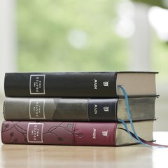The Prayer Bible: Pray God’s Word Cover to Cover (NIV, Burgundy Leathersoft,…