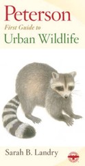 Peterson First Guide to Urban Wildlife – Paperback – VERY GOOD