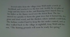 Land of Gray Wolf by Thomas Locker 1st ED Nature & Animal Life Children’s Book