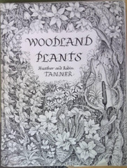 WOODLAND PLANTS