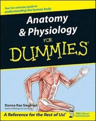 Anatomy & Physiology For Dummies – Paperback By Siegfried, Donna Rae – GOOD