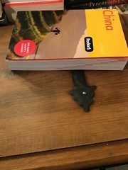 Fodor’s China, 5th Edition (Travel Guide) by Fodor’s In Excellent Condition