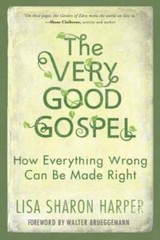 The Very Good Gospel: How Everything Wrong Can Be Made Right – Paperback – GOOD