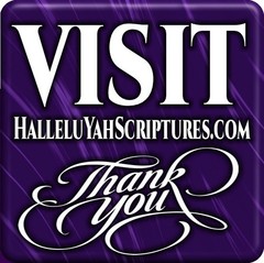 BIBLE Spanish HalleluYah Scriptures Spanish Bible – Best Restored Names Bible
