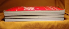 Sic et Non Spiritual Discernment Refounding the Church Religion 3 PB book lot